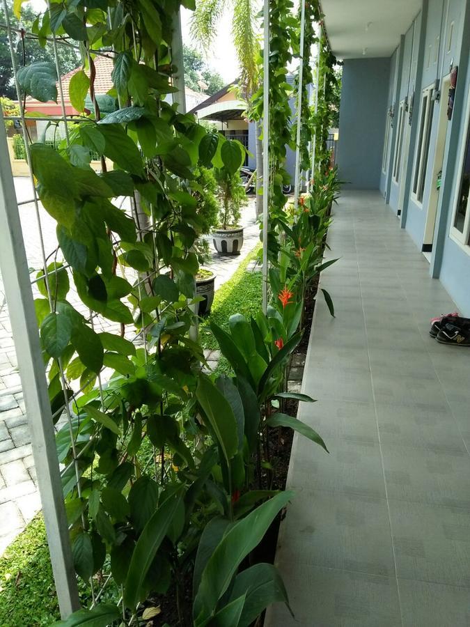 Clover Homestay Probolinggo Exterior photo